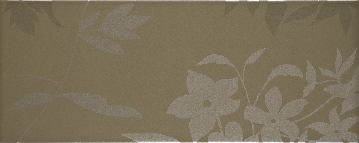 Shadow-4 Vison 20X50 base Shadow-4 Vison 20X50, pasta roja