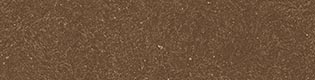 Sciroppo Cacao 8x31.5cm Sciroppo Cacao 8x31.5cm