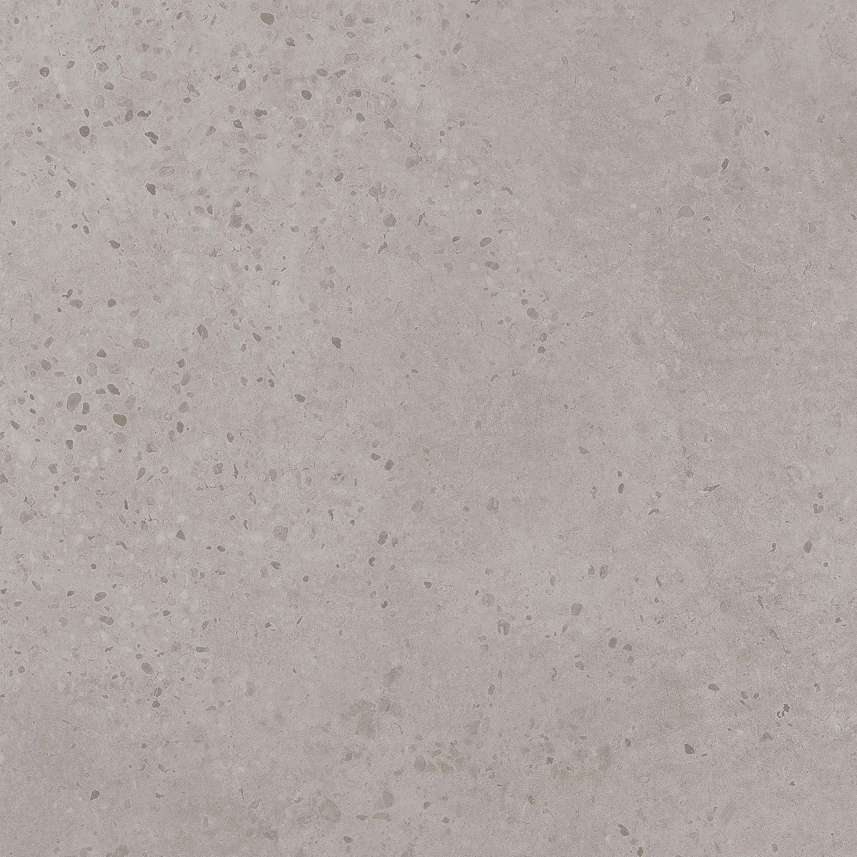 Tortona-R Plomo Slip Resistant 59.3x59.3cm